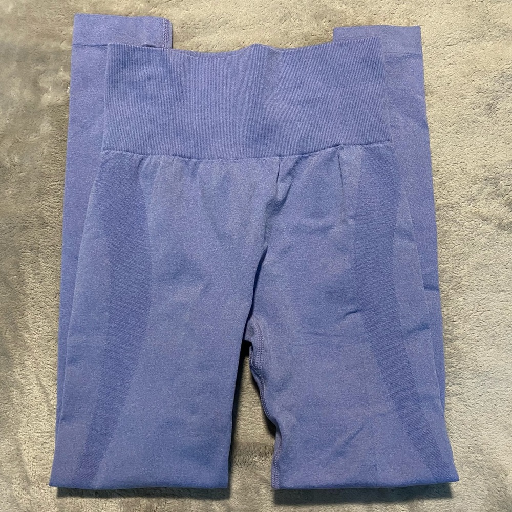 Seamless Contour Leggings (blue)